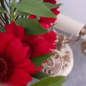 https://bb-alla-bonora.hotelinveneto.com